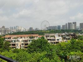 财富国际广场5房2厅 民族大道旁凤岭北地铁口 送车位天桃月湾**房两梯四户无欠款
