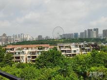 财富国际广场5房2厅 民族大道旁凤岭北地铁口 送车位天桃月湾**房两梯四户无欠款
