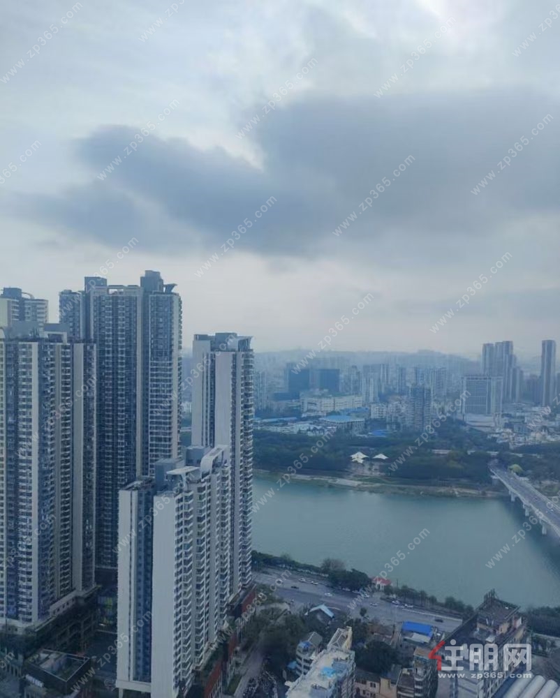 丽原天际业主低价急售274平大平层  高层  看邕江   近学校