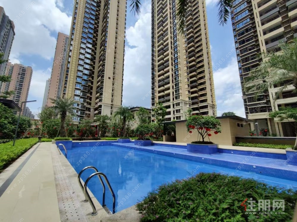 江南经开区 4/5号线双地铁口  精装现房未入住过  拎包入住