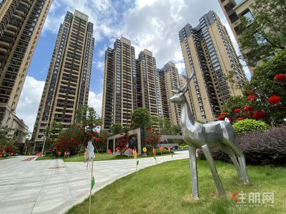 江南经开区 地铁4/5号线  天健和府精装3房  楼下公立12年目送书包房