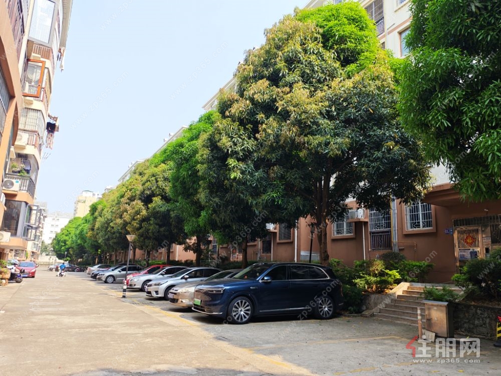 凤岭北核心位置单位房带阁楼3房  环境清静  临近会展航洋城  万象城等  凤翔书包