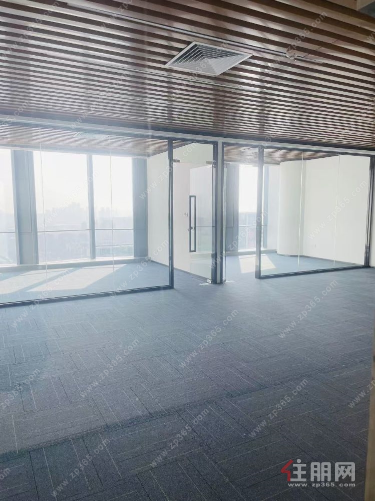 丽原天际大平层低价出售