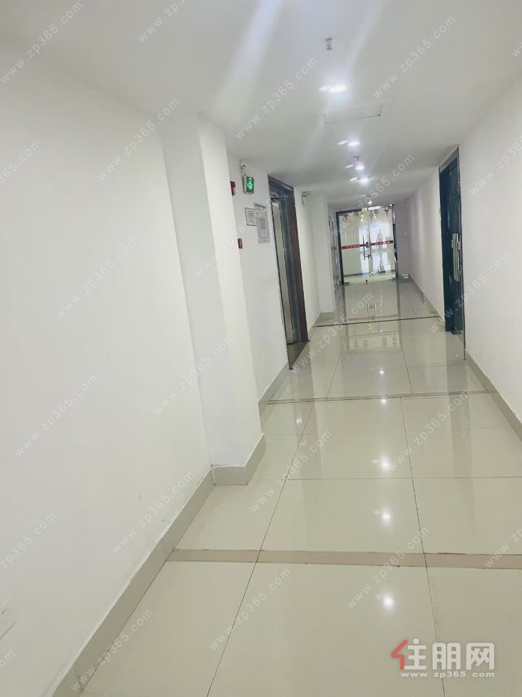 丽原天际大平层低价出售