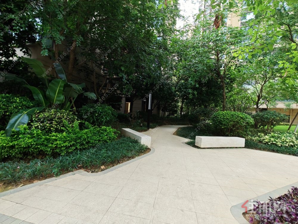 秀田小学旁精装3房诚意出售   好楼层   绿化有  有泳池 球场   近邕江