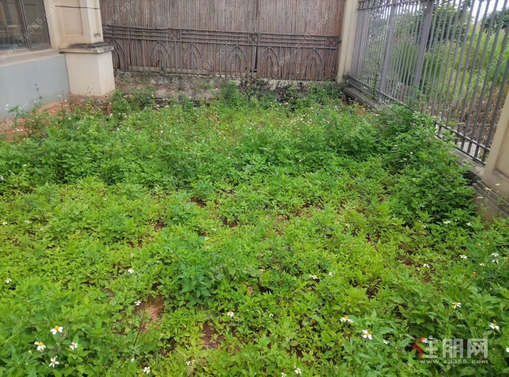 合景天峻广场边套看 江别墅   毛坯