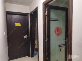 金龙理想1号
