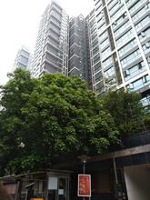 荣和山水美地4组团微笑湾