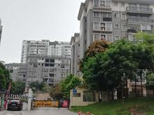 翠竹小区