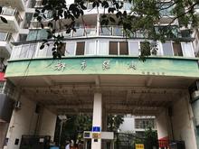 都市绿洲
