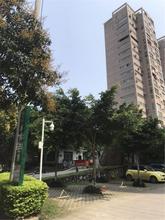 半岛旺角