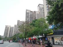 盛天茗城