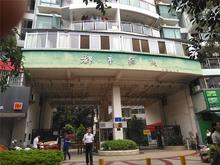 都市绿洲