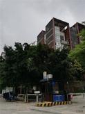 小区推图
