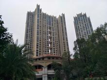 中房新天地
