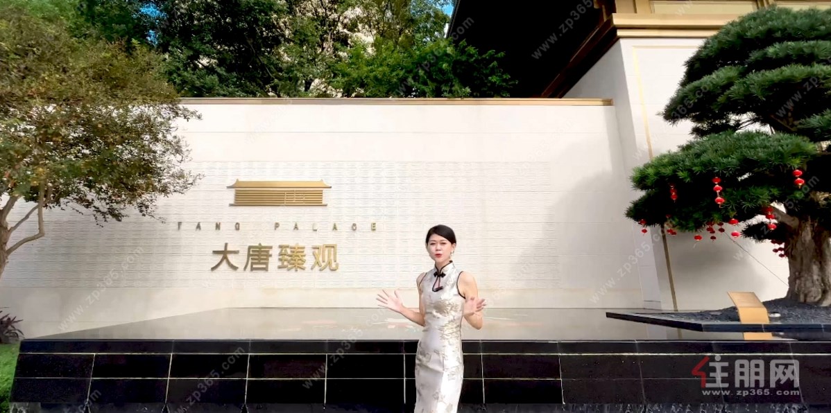 大唐臻观