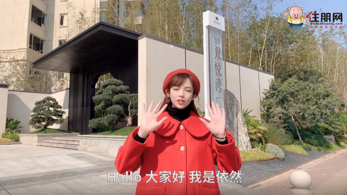 盛邦双悦湾看房视频