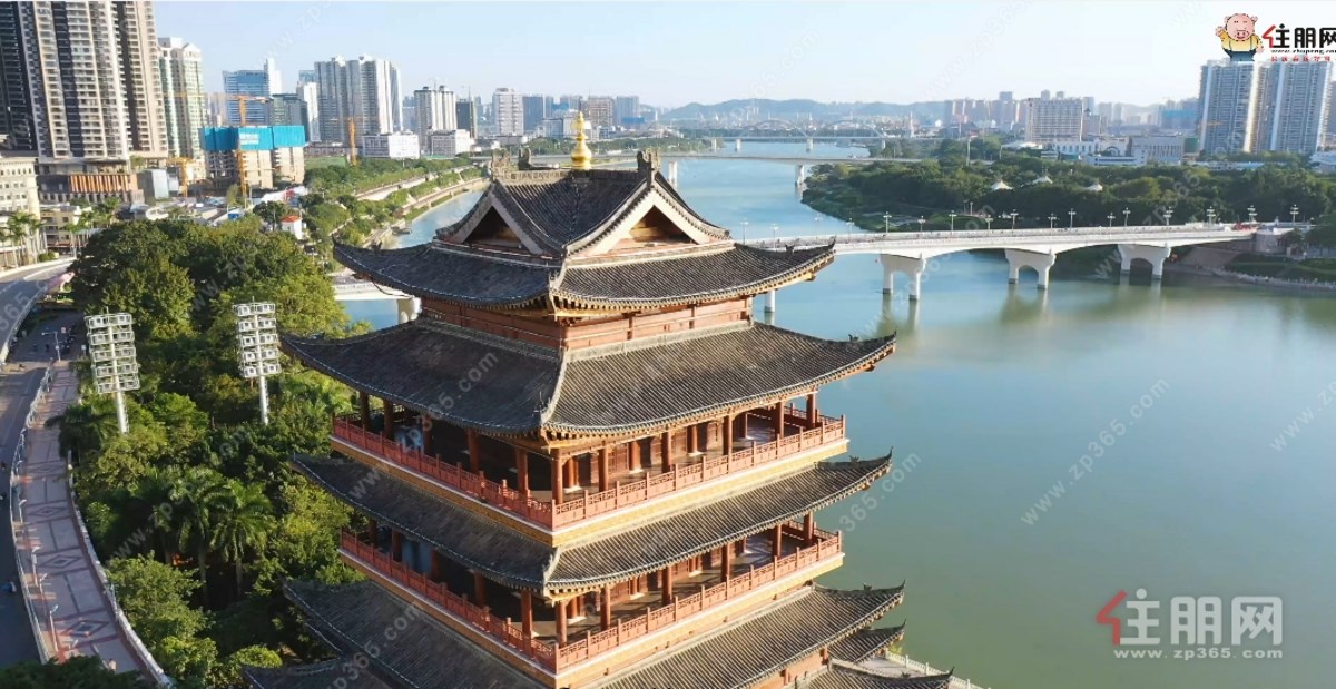 金地美域国际