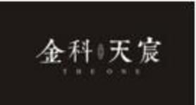金科天宸