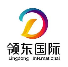 领东国际