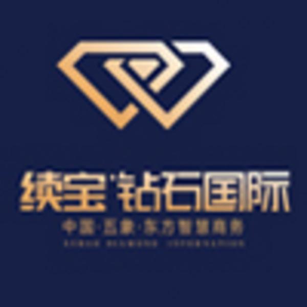 续宝·钻石国际