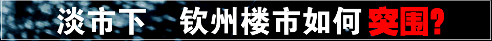 淡市下，钦州楼市如何突围？