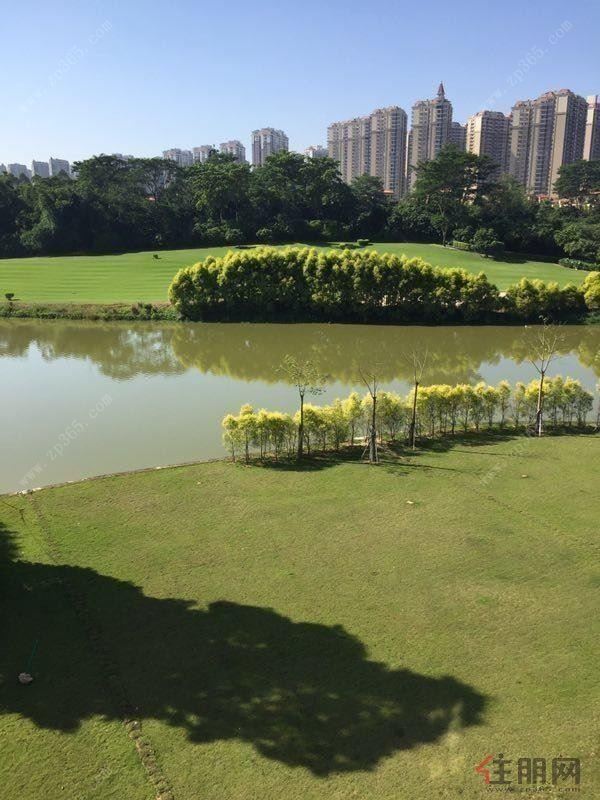 急急!真~嘉和城大独栋v2别墅全湖景花园有200平看房方便