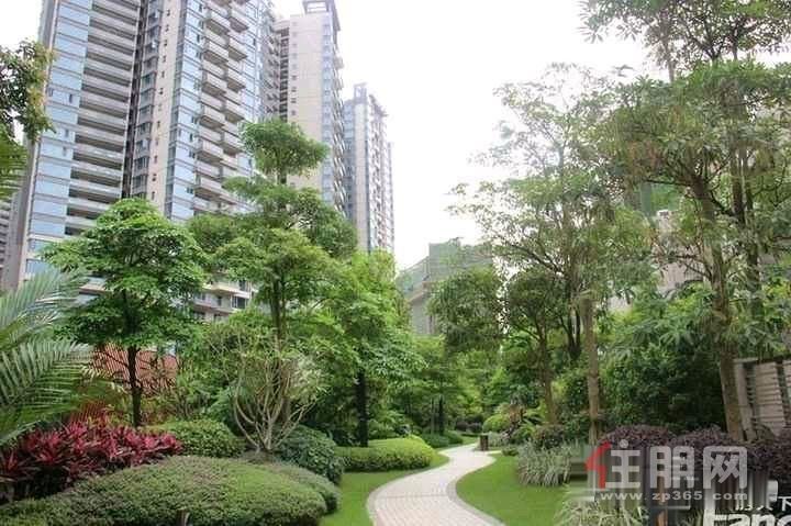 南宁十大豪宅(金鸿尚都)单价6字头南北通透近地铁低首付
