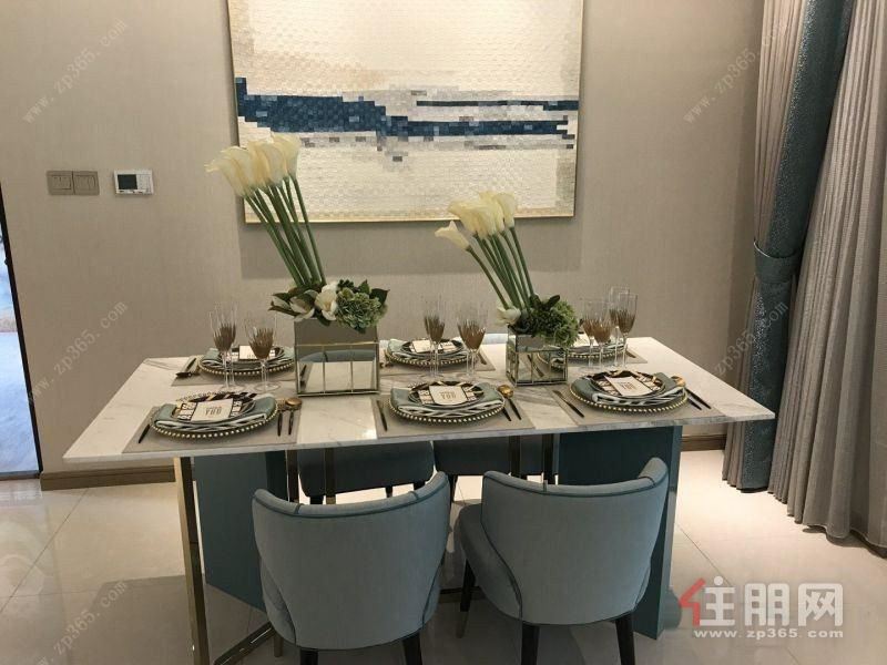 南宁十大豪宅(金鸿尚都)单价6字头南北通透近地铁低首付