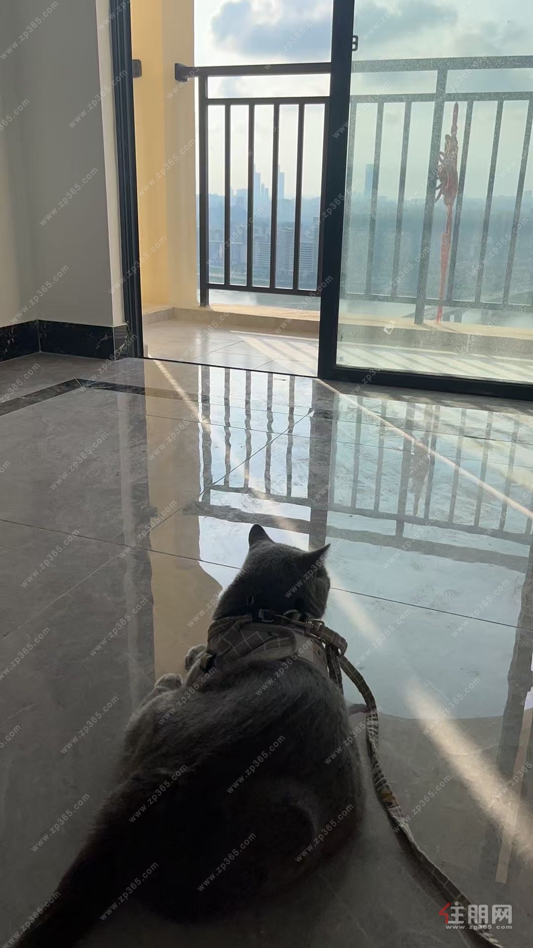 南宁龙岗云端江景稀缺大宅