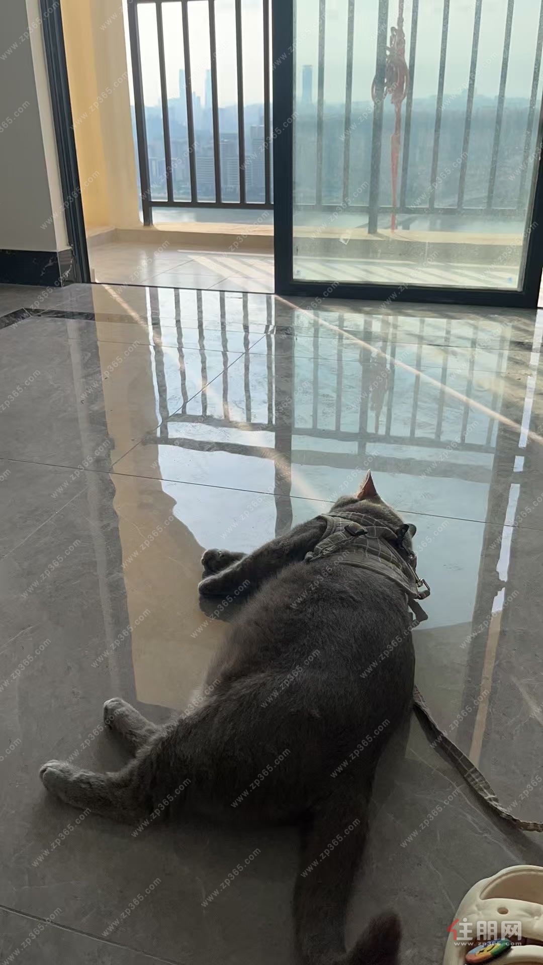 银泉一品天誉·39楼云端大宅,俯瞰邕江