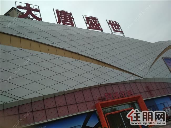 五象新区万达茂旁《大唐盛世》带装修学区房 地铁口|南宁出售房源