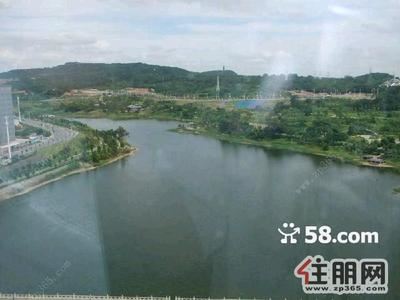 竹溪大道-优越路段，无敌视野，遥望青山，毗邻青湖，青湖纯写字楼，勿错过