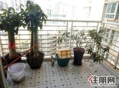 民族大道-城市花园居家3房拎包入住阳台可种花草停车方便房源、图片真实