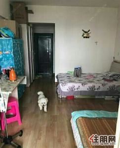 七星桃源-华星时代广场大单间一号线地铁有电梯看房方便