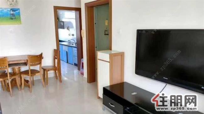 锦春路电视台宿舍三房精装2800一个月随时看房