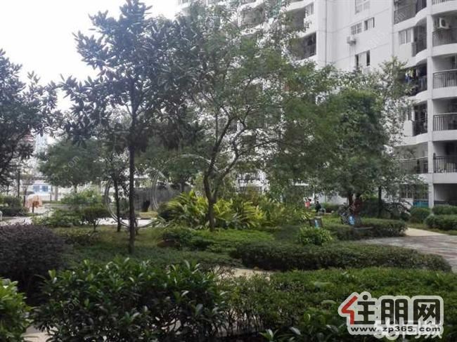 (家家乐房产)世纪经典单身公寓出租