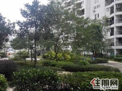 港北区,(家家乐房产)世纪经典单身公寓出租