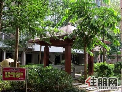 港北区-贵港市九龙新城3室2厅2卫新装修首次出租