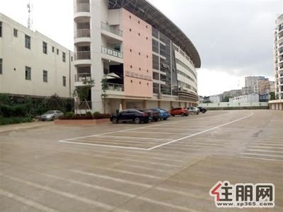 望州路-打造电动车、汽车销售与维修市场，租金50~80元平