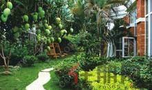 雅儒荣耀柳北雅儒路,配套齐全+梦之岛