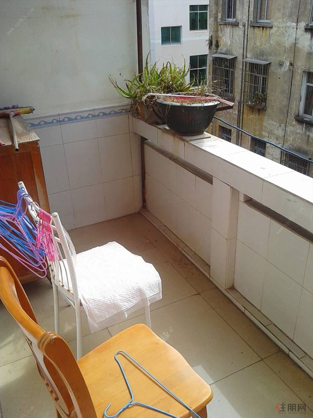 玉药集团国营单位玉林制药厂(拎包入住) 3室1厅85平米房屋出租