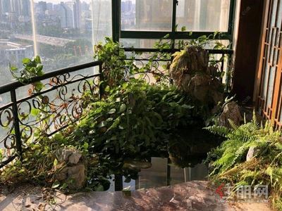 青秀区-青秀区琅西东方明珠花园4房220平米8500元/月