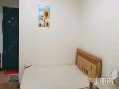 新民路-青秀区东葛路华星时代广场1房48平米1650元/月