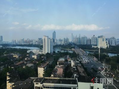 青秀区-青秀区东葛路新兴大厦0房71.4平米3570元/月