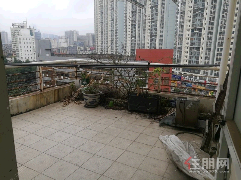 青秀区东葛路中鼎温馨家园6房242平米325万