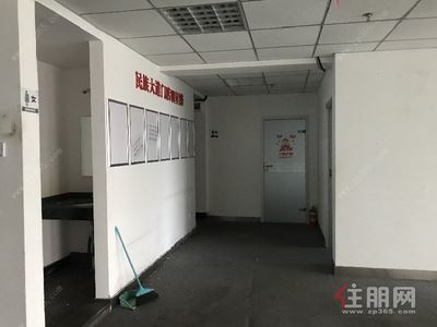 青秀区-青秀区凤岭北航洋国际城0房325平米24000元/月