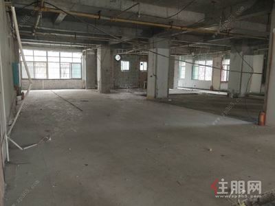金湖广场-青秀区琅西城市杰座0房460平米36800元/月