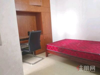 青秀区-青秀区东葛路永凯现代城2房55平米2600元/月
