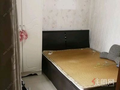 青秀区-青秀区东葛路钻石年代1房53平米2200元/月